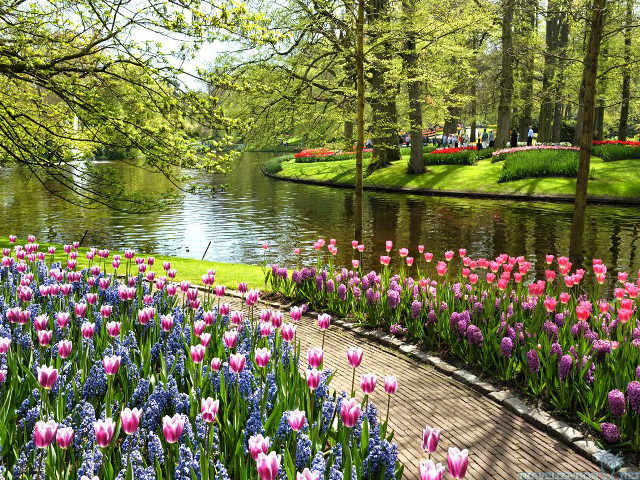Park flowers river people walking free wallpaper - medium preview image