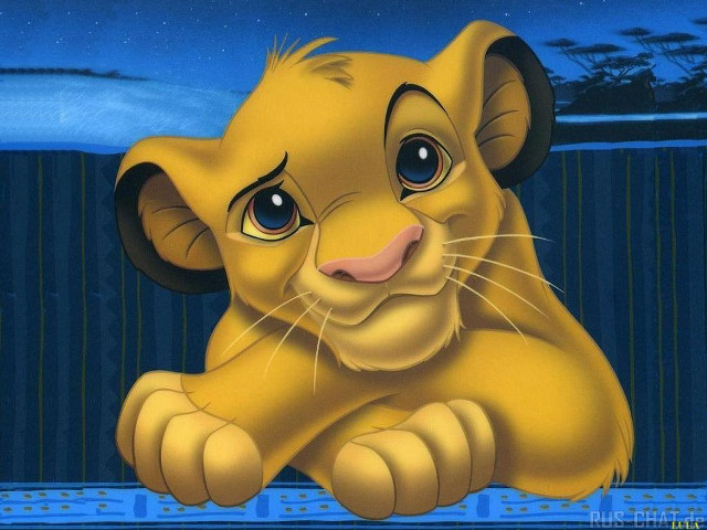 Lion cub blue surface paws free wallpaper - medium preview image