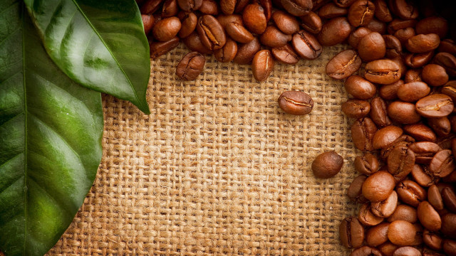 Coffee beans leaf burlap background free wallpaper - medium preview image