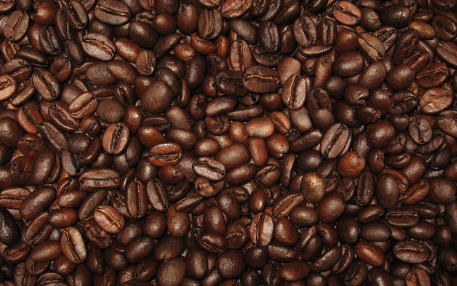 Coffee beans brown background white free wallpaper - medium preview image