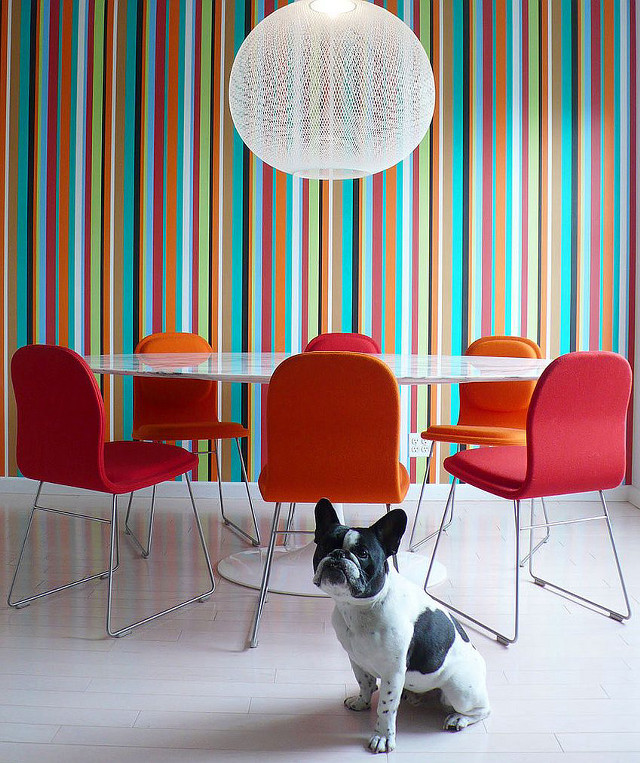 Small dog table lamp head free wallpaper - medium preview image