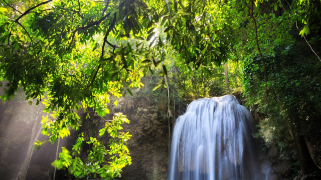 Waterfall forest sunlight trees leaves free wallpaper - medium preview image