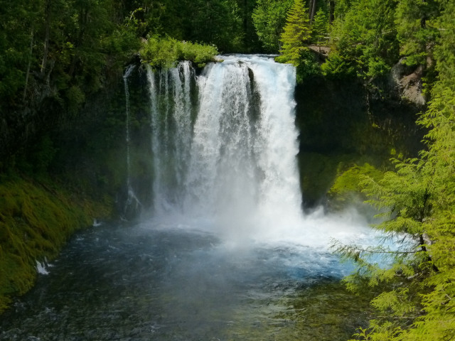 Waterfall blue pool trees shrubs free wallpaper - medium preview image