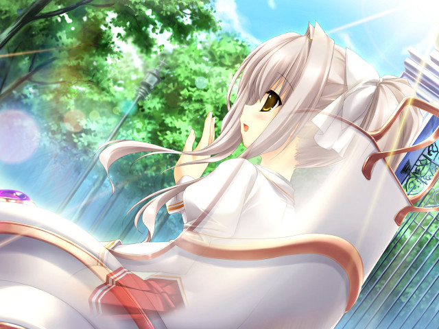 Woman sitting chair suitcase tree free wallpaper - medium preview image