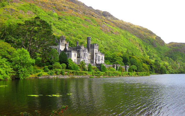 Castle hill lake lilypad green free wallpaper - medium preview image