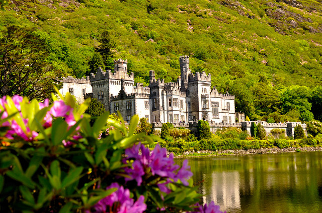 Castle lake green hillside flowers free wallpaper - medium preview image