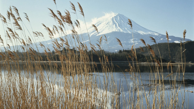Mountain lake reeds background foreground free wallpaper - medium preview image