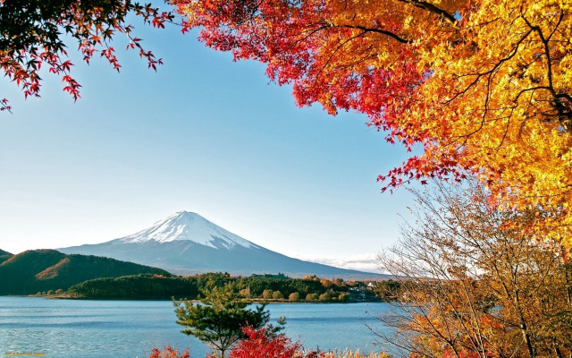 Mountain lake autumn leaves bridge free wallpaper - medium preview image