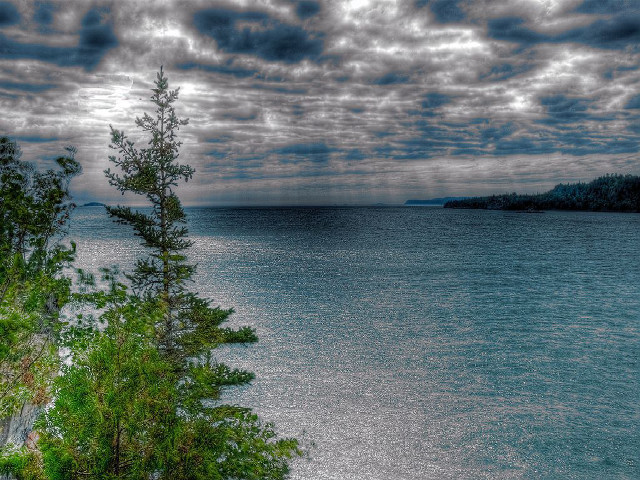Lake tree cloudy sky nature free wallpaper - medium preview image