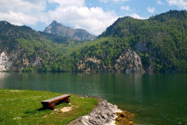 Bench lake mountain forest scenery free wallpaper - medium preview image