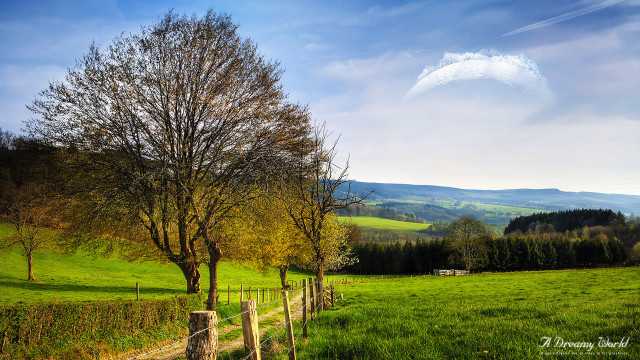 Field fence tree distant building free wallpaper - medium preview image