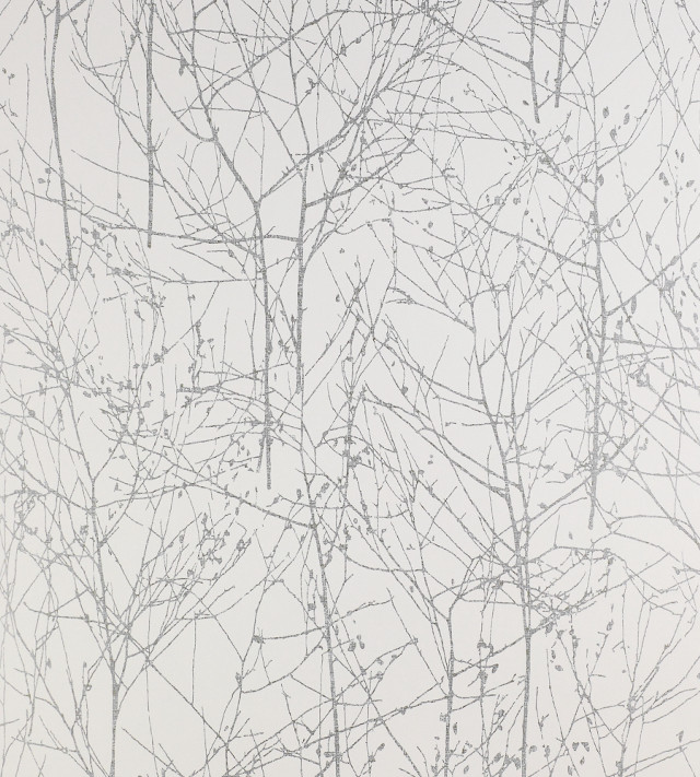 White wall branches background black free wallpaper - medium preview image