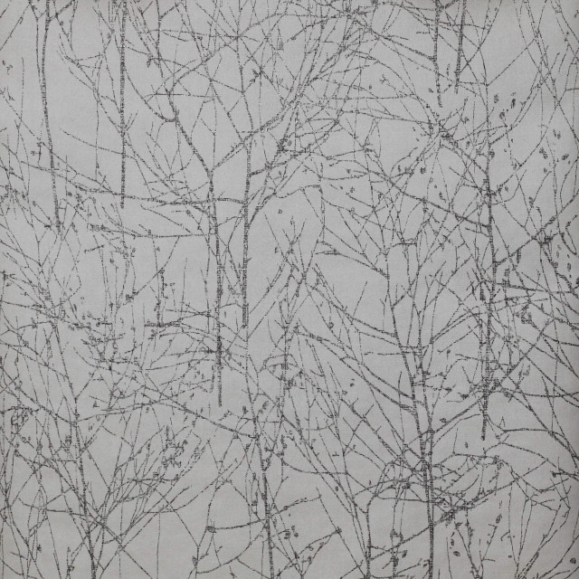 Branches small leaves white background free wallpaper - medium preview image
