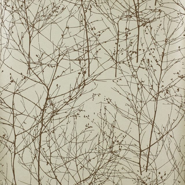 Bare tree no leaves winter free wallpaper - medium preview image