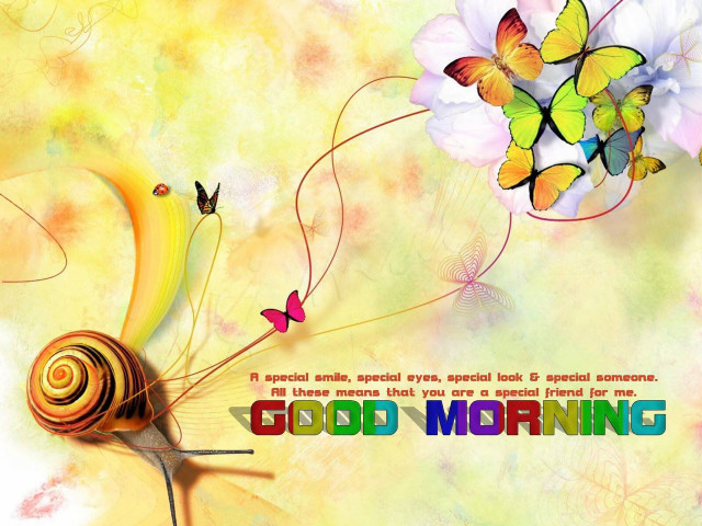 Snail butterflies yellow background good free wallpaper - medium preview image