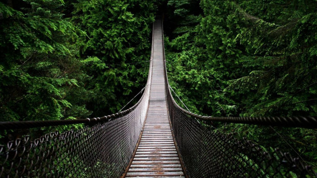 Suspension bridge forest trees walkway #4 free wallpaper - medium preview image