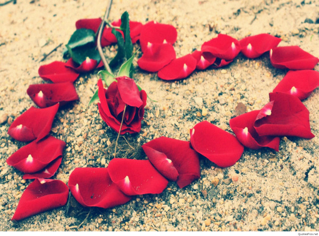 Heart shaped red flowers green free wallpaper - medium preview image