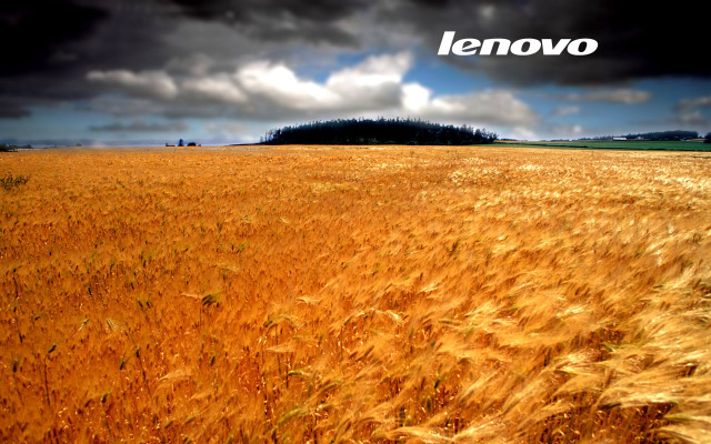 Wheat field cloudy sky lenovo free wallpaper - medium preview image