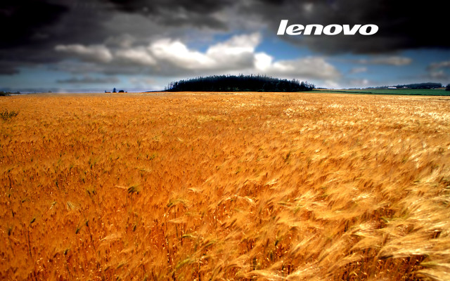Wheat field cloudy sky lenovo #2 free wallpaper - medium preview image