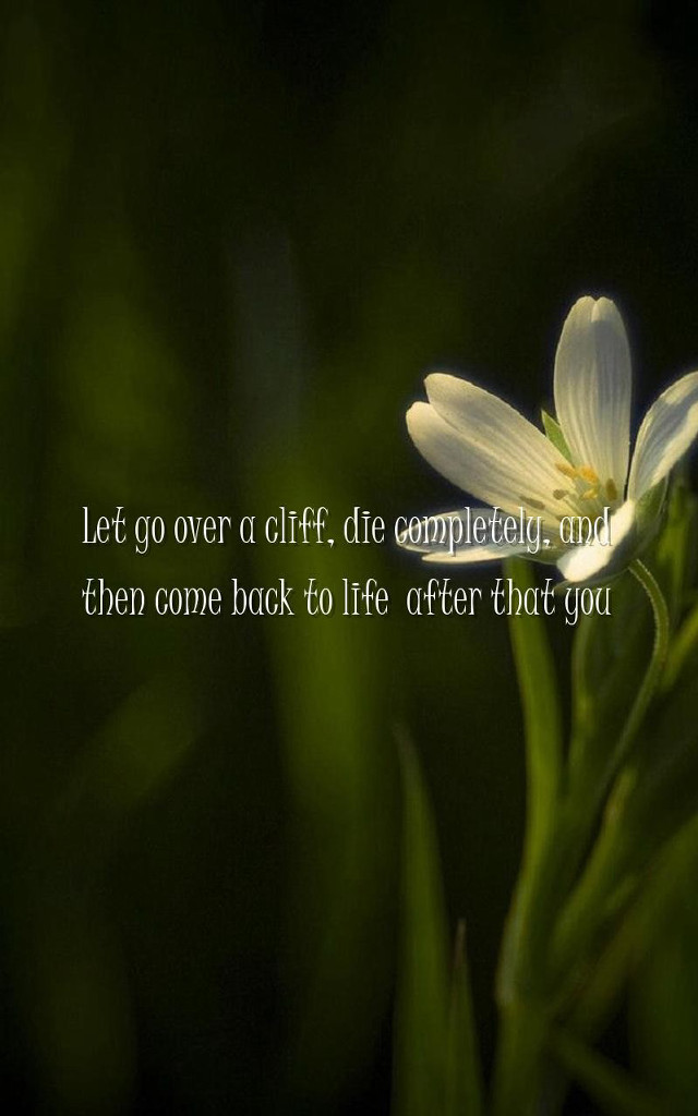 Flower quote grass dark background free wallpaper - medium preview image