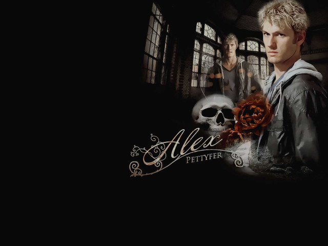 Man window rose skull gothic free wallpaper - medium preview image