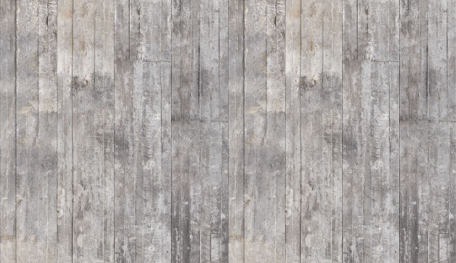 Grey wall wooden plank cat free wallpaper - medium preview image