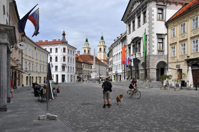 European street man dog cobblestones free wallpaper - medium preview image