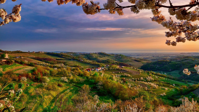 Beautiful valley trees foreground sunset free wallpaper - medium preview image
