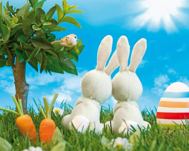 Two white rabbits grass tree free wallpaper - medium preview image