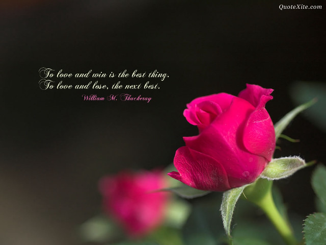 Pink rose quote on it #2 free wallpaper - medium preview image