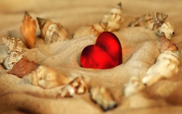 Heart shaped object sand shells free wallpaper - medium preview image