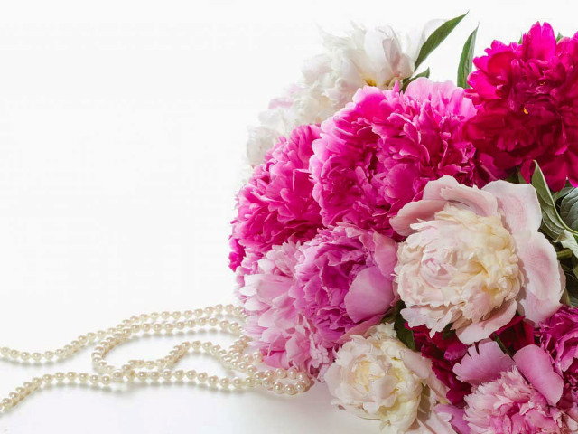Bouquet flowers pearls white background free wallpaper - medium preview image