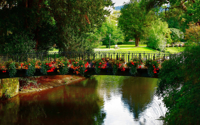 Bridge river flowers fence park free wallpaper - medium preview image