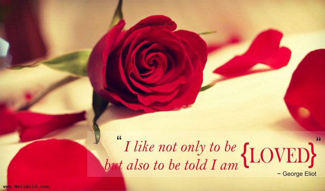 Red rose white sheet quote free wallpaper - medium preview image