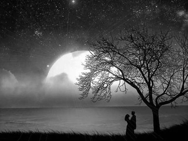 Man tree fullmoon starfilledsky lake free wallpaper - medium preview image