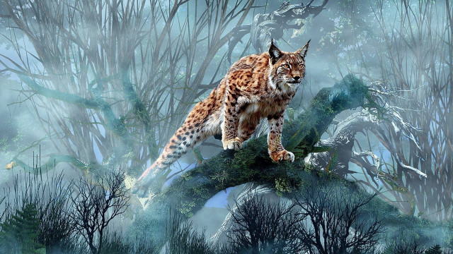 Lynx tree branch forest fog free wallpaper - medium preview image