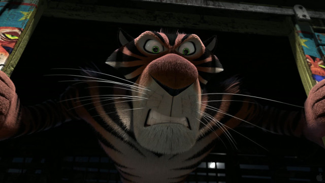 Tiger big eyes big nose free wallpaper - medium preview image