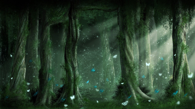 Forest butterflies light trees painting free wallpaper - medium preview image