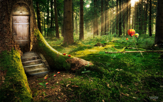 Door woods mossy tree stairs free wallpaper - medium preview image