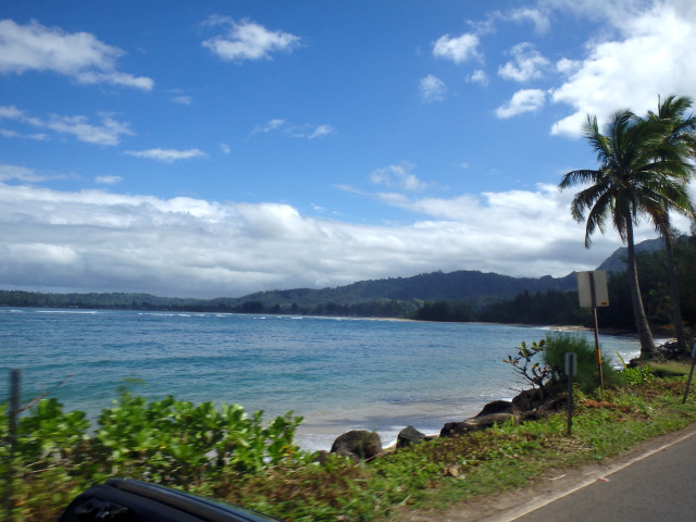 Car beach ocean palm trees free wallpaper - medium preview image