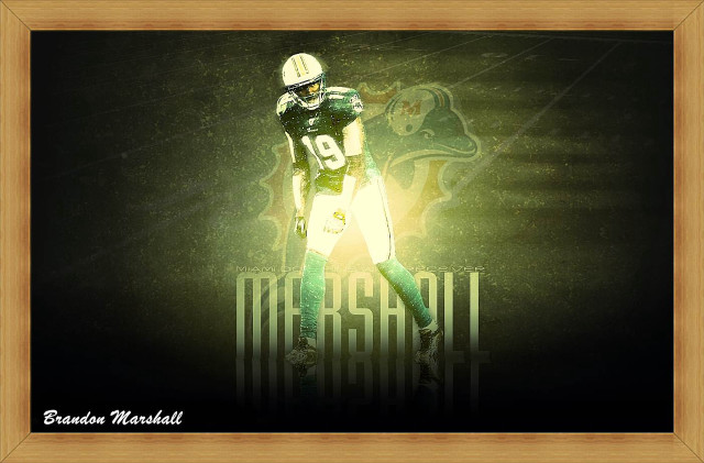 Football player green uniform gold free wallpaper - medium preview image