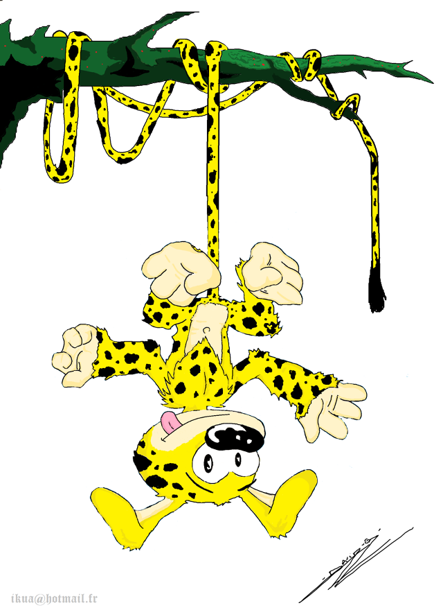 Leopard hanging tree person camera free wallpaper - medium preview image
