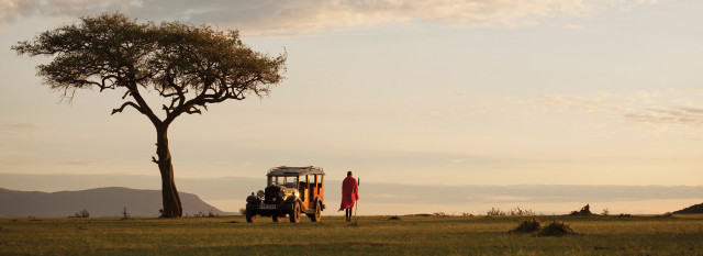 Safari vehicle parked field tree free wallpaper - medium preview image