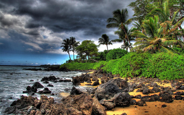 Beach rocks palm trees cloudy #3 free wallpaper - medium preview image