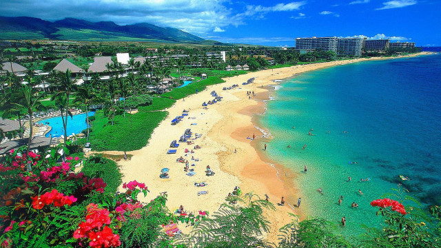 Beach crowd flowers building background free wallpaper - medium preview image