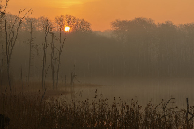 Foggy lake trees sunset mountains free wallpaper - medium preview image