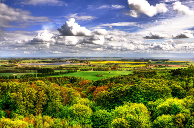 Scenic green field trees clouds free wallpaper - medium preview image