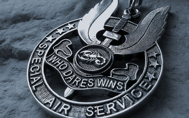 Silver medal bird gray surface free wallpaper - medium preview image