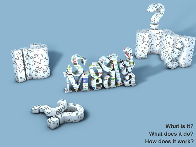 White boxes media dog bone free wallpaper - medium preview image