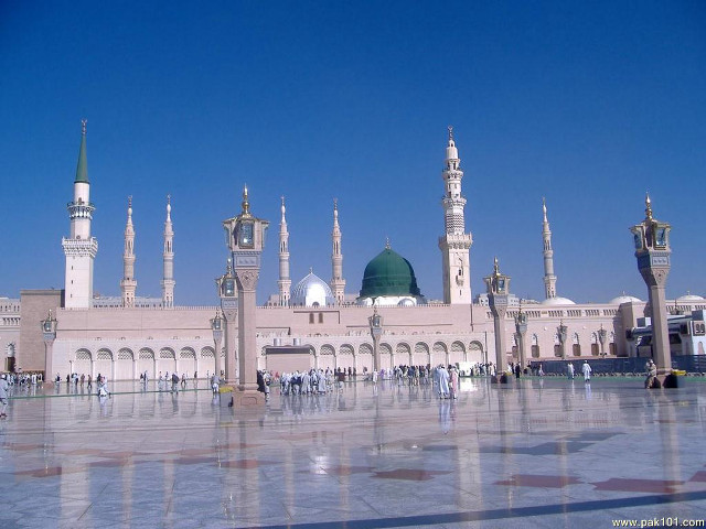 Green dome building fountain people free wallpaper - medium preview image